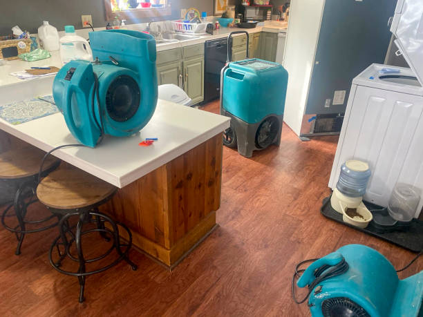 Best Water damage cleanup near me  in Ganado, TX