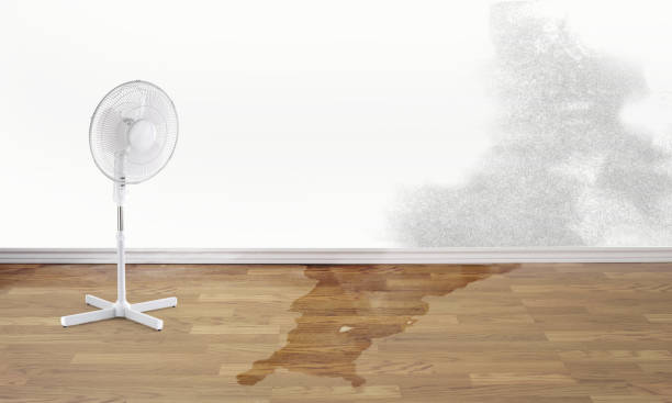 Local water damage restoration in Ganado, TX