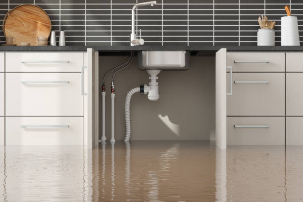 Best Water damage restoration company  in Ganado, TX