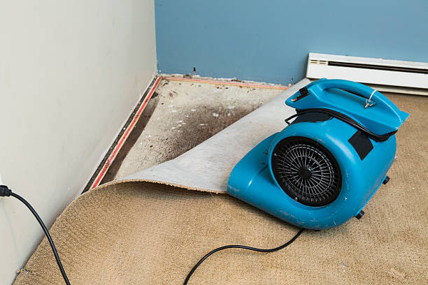 Best Water damage contractors near me  in Ganado, TX